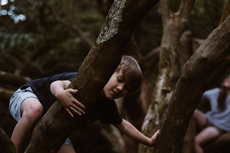 Climb and explore at The Kids' Castle